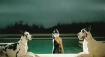 ຄອບຄົວອອນໄລນ໌ fucking ກັບ porn ໃນປາກແລະ pussy