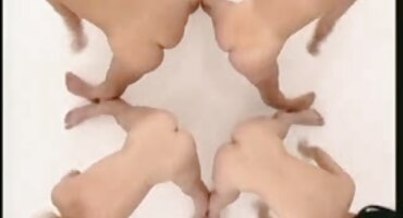 ຜູ້ຊາຍສີດໍາ Striptease ຕື່ນເຕັ້ນເດັກຍິງໃນຫ້ອງໂຖງສໍາລັບ blowjob