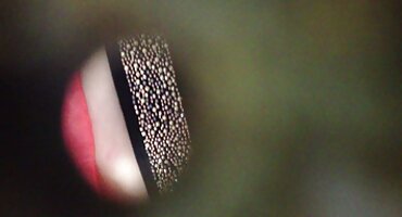 Lick pussy ແກ່ແລະມ້ວນກ່ຽວກັບ futon ກັບສາວ hentai ຫນຸ່ມ