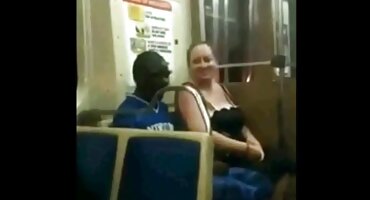 ລູກໄກ່ຮ່ວມເພດນັກສມັກເລ່ນທີ່ມີຫາງມີຂົນ